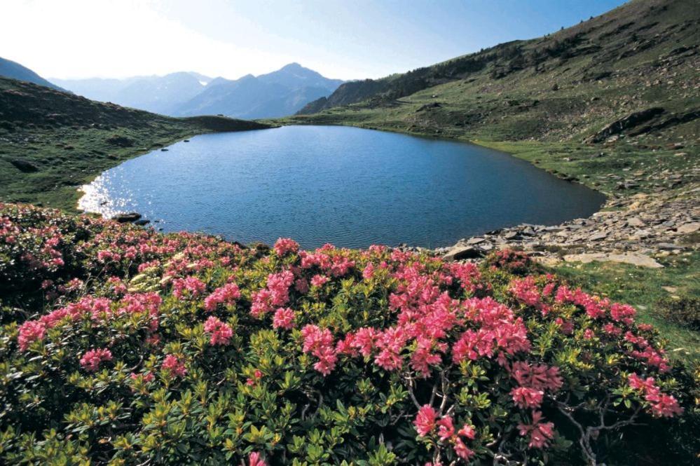 Hotel Xalet Verdu Arinsal Dış mekan fotoğraf